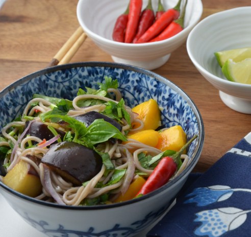 Soba Noodles with Eggplant and Mango