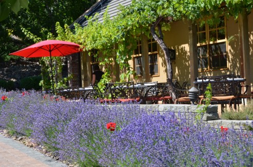 Beautiful patio restaurant at the winery.