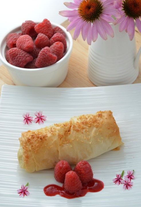 Coconut Rice Pudding Spring Rolls with Raspberry Sauce